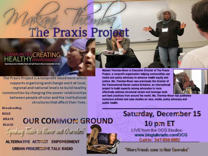 praxis 3 anim
